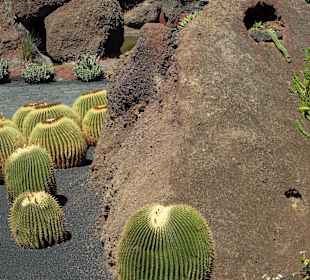 Schwiegermutter-Sitze