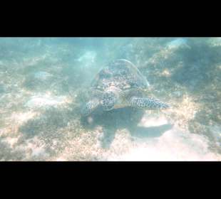 Ausflug Marsa Mubarak/Imbarak