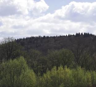 Sport- und Freizeitpark Markwasen