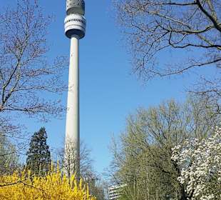 Frühling im Westfalenpark Dortmund