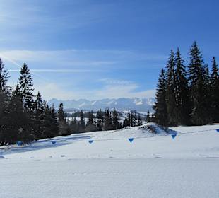 Niebieska trasa do Kotelnicy Express