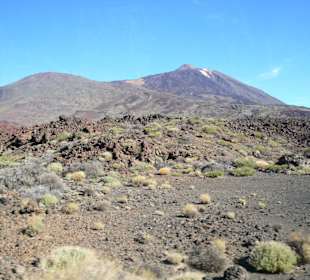 Teide