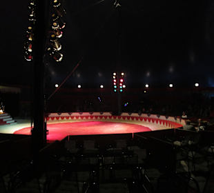 Landauer Weihnachtscircus 2015