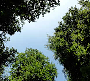 Impressionen aus dem Gesundheitspark Speckenbüttel