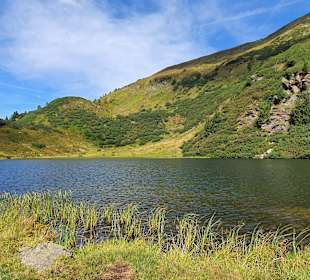 Wandern Donnersbachwald