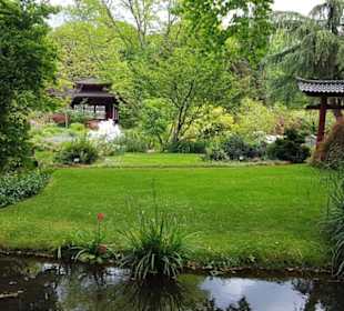 Japanischer Garten Leverkusen