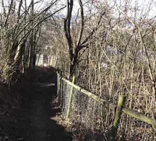 Wanderweg zur Achalm