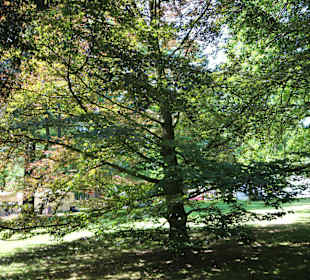Licht und Schatten
