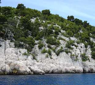 Bootstour durch die Calanque Port-Pin