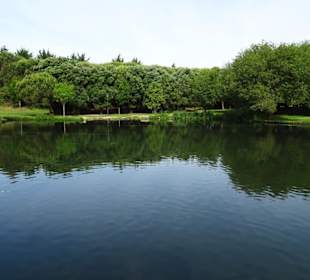 Wasserflächen des Parque da Cicade