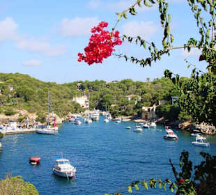 Blick auf die Calas von Cala Figuera