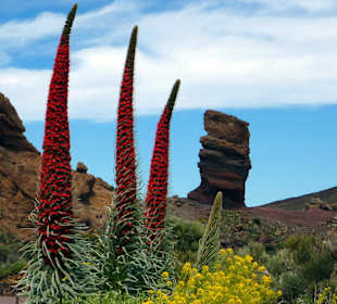 Teide