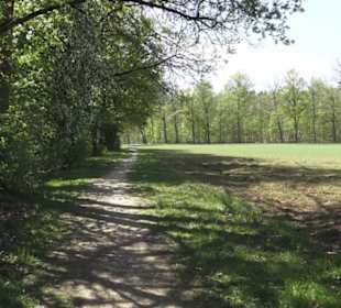 Wanderweg Hochgehwachsen