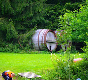 Auf-Abstieg Adlerstein Panorama