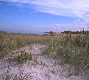 Der Strand bei Zingst