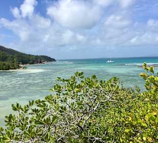 Insel Curieuse