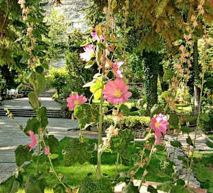 Schöne Blumen in der Anlage