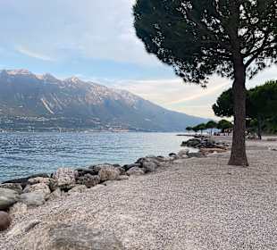 Strand Limone