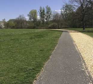 Sport- und Freizeitpark Markwasen