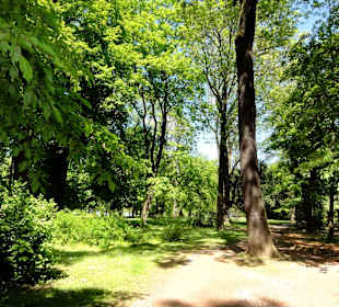 Impressionen aus den Wallanlagen