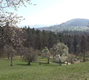 Wanderung Florianrunde