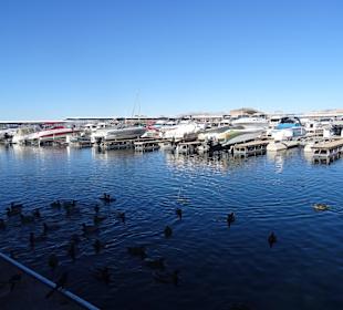 Ausfahrt aus der Marina