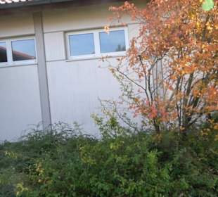 Föhrenberghalle Dottingen