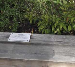 Kneippscher Kräutergarten