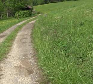Wandertour Feuchtgebiet Schönbuch