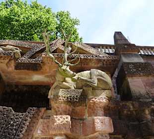 Schloss Heidelberg und Umgebung