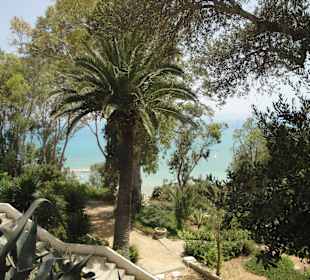 Ausflug Sidi Bou Said