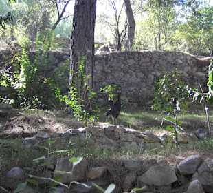 Olymapinar Baraji / Stausee 