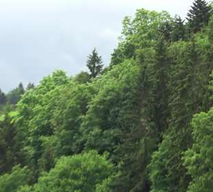 Burgruine Hohendießen Dießen