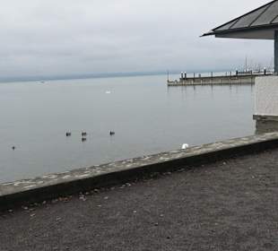 Kressbronner Lesepavillon