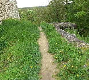 Ruine Burg Kaltenburg