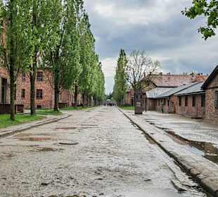 Auschwitz