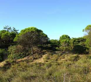 Naturschutzgebiet Gegend