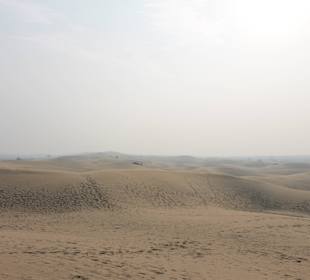 Pustynia Thar