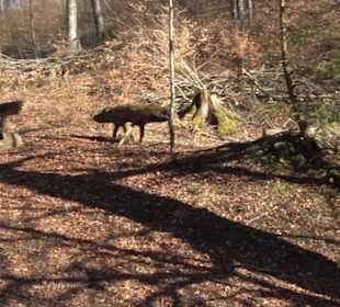 Naturerlebnispfad Meidelstetten
