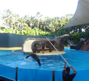 Loro Parque