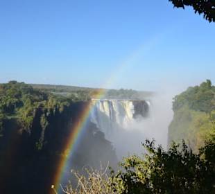 Victoria Falls