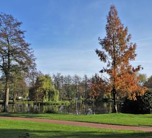 November im Stadtpark Wildeshausen