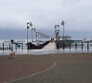 Bootsanleger Puerto Lopez