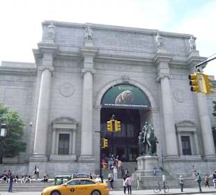 American Museum of Natural History
