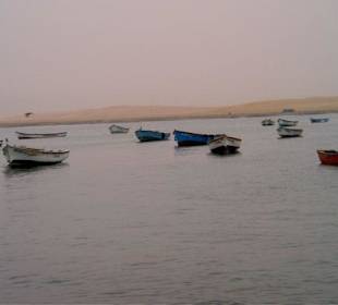 Péninsule de Paracas