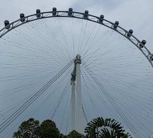 Singapore Flyer
