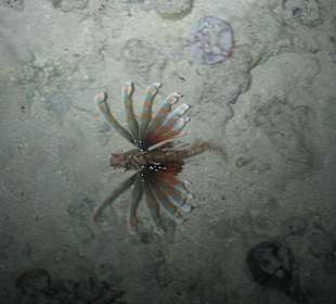 Фото с пирса