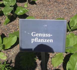 Botanischer Garten der Universität Zürich