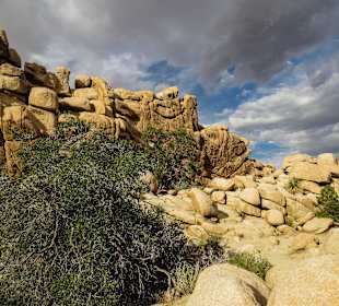 Hidden Valley Trail am späten Nachmittag