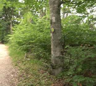 Hochgeträumt Premiumwanderung